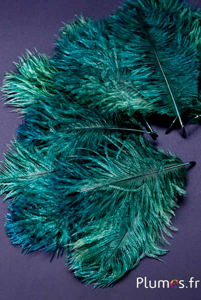 Struisvogel Bellies -8-13 cm - dennengroen